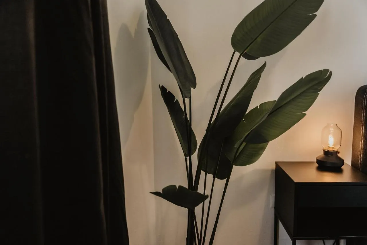 Boutique Hotel Kolín nad Rýnem 0*,
