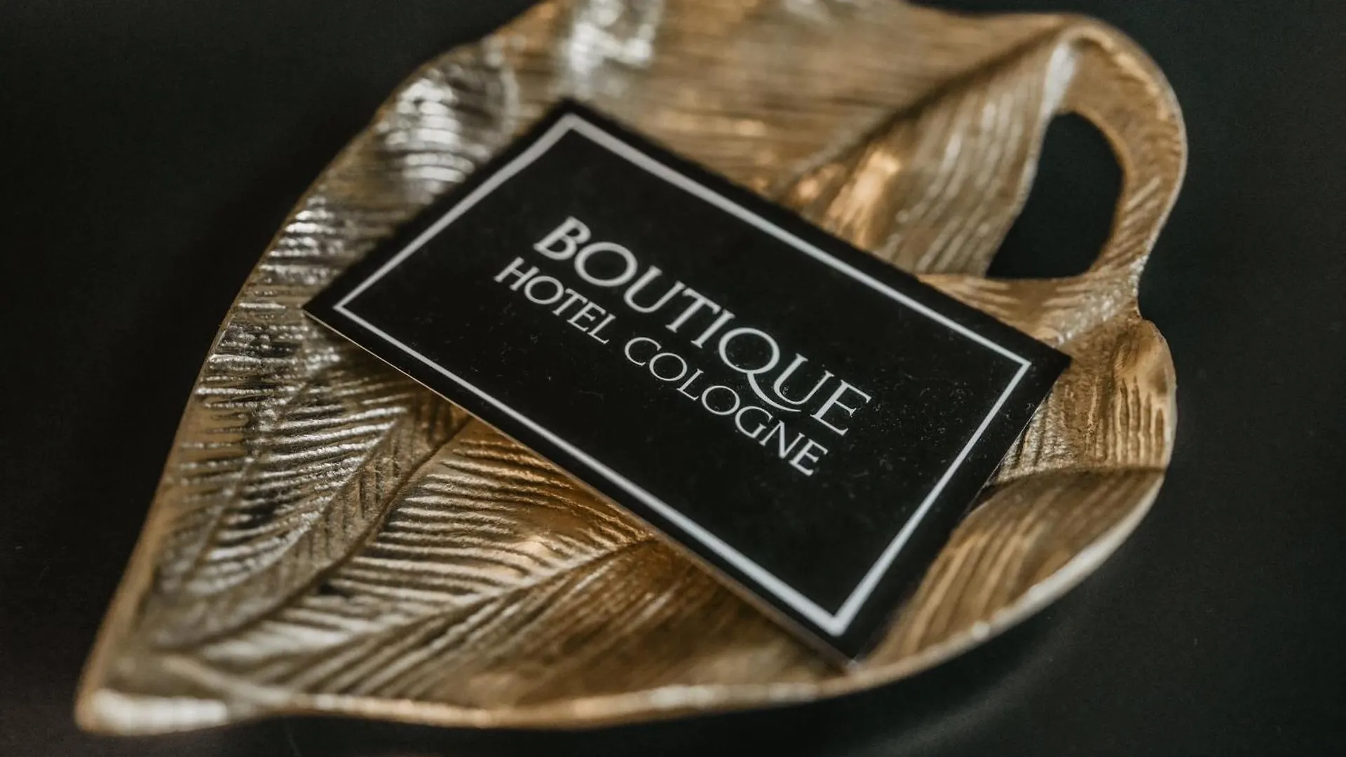 Boutique Hotel Kolín nad Rýnem